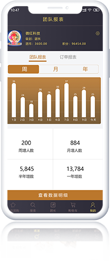 图标