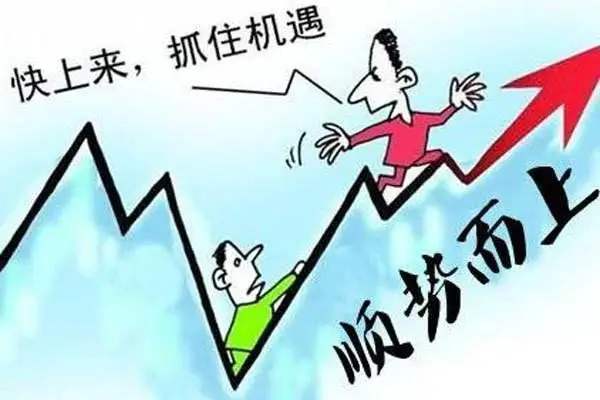 做代理需注意事项有哪些？成功的代理的共同点是什么？